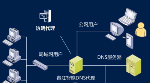 某个区域的资源记录通过手动或自动方式更新到单个主名称服务器（称为主 DNS服务器）上，主 DNS 服务器可以是一个或几个区域的权威名称服务器。